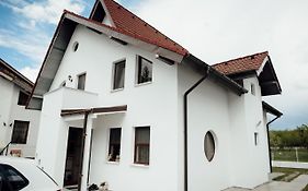 Autentic Adorabil Apartment